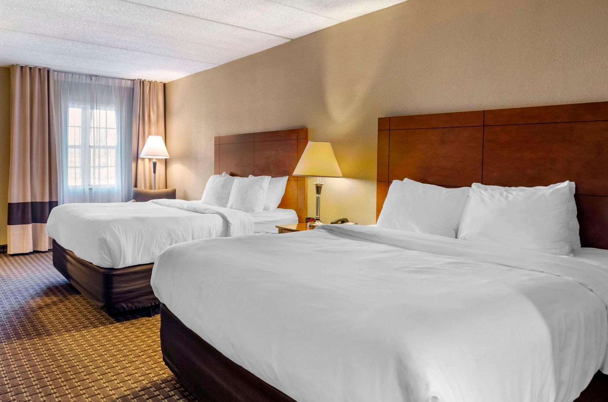 Comfort Inn & Suites Raphine - Lexington Near I-81 And I-64 Kültér fotó